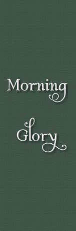 morning glory
