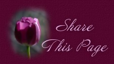 Share This Page