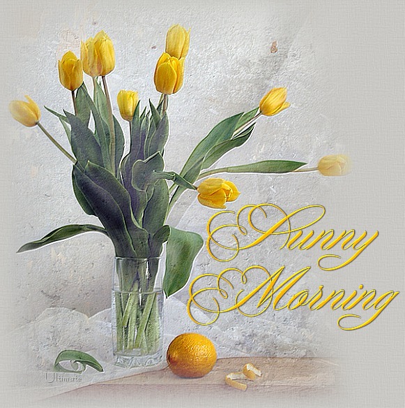Good Morning Wishes: sunny morning wishes sent off your way to wish you a good morning and ...